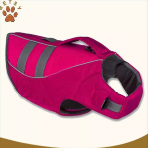 kõrge kvaliteediga tore koer kohale päästevest vest