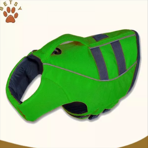 kõrge kvaliteediga tore koer kohale päästevest vest