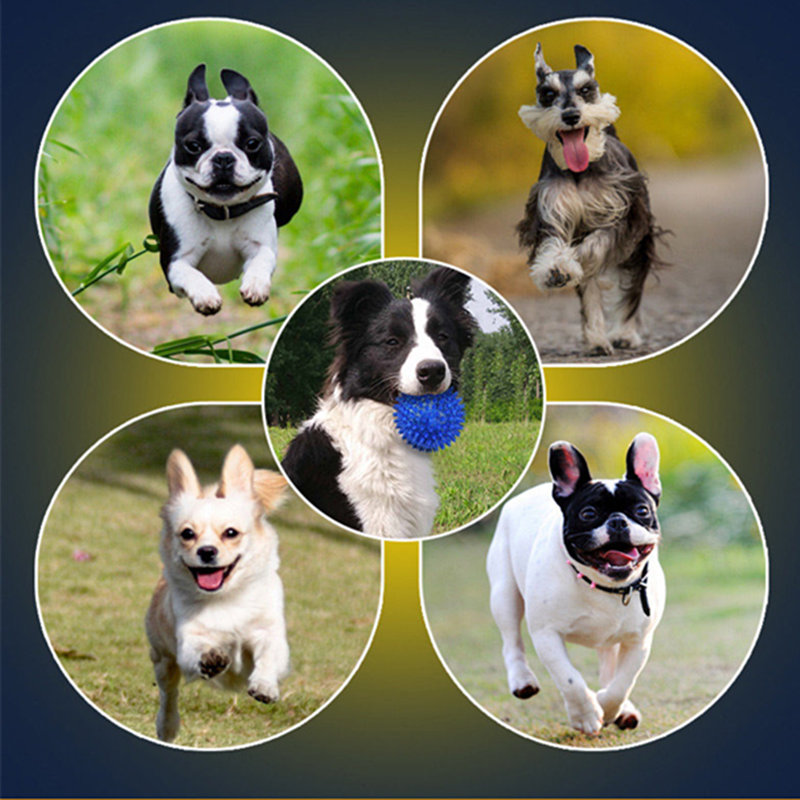 kuidas vähendada hävitav jõud koerad