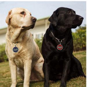 2018 Clibeanna Teo Díolta Madraí nó Cat Cat Tags Engraved nó QR Code Pet Tag