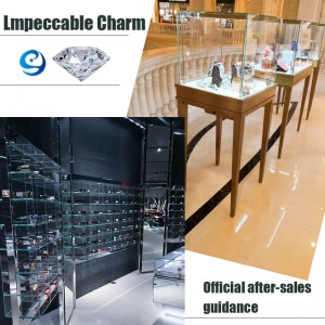 Saincheap comh-aireachta taispeáint taispeána jewelry a shaincheapadh agus a thaispeáint do shiopa jewelry