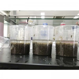 Praghas Polyacrylamide Cationic le haghaidh Cóireála Séarachais Uirbí