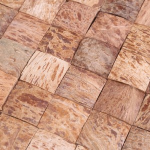 Dearadh Maisiúchán Cnó cócó Nádúrtha Dearadh Mosaic Tíleanna Balla Maisiúcháin