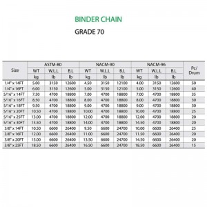 G70 Binder Chain le 2 Clevis Grab Hook