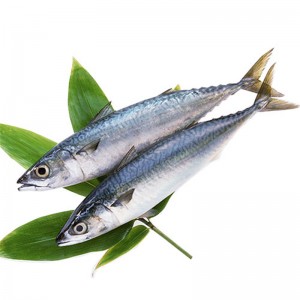 Ronnach Reoite babhta iomlán