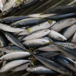 Ronnach Reoite babhta iomlán