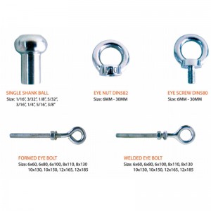 316 Scriú DIN580 Eye brionnaithe