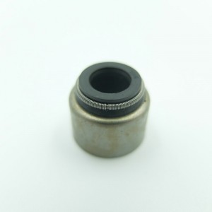 Páirteanna uathoibríocha le rónta rónta comhla rubair Viton do mhótarfheithiclí