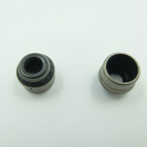 Séala ola comhla gas ardfheidhmíochta frithsheasmhach in ola d'innill Volkswagen