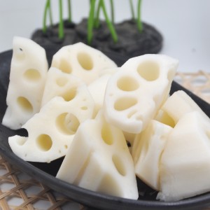 SEOLADH LOTUS FROZEN