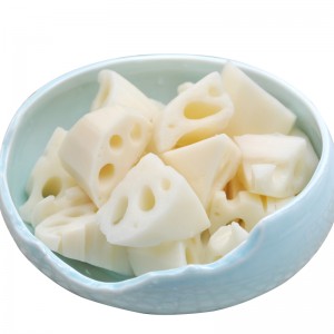 SEOLADH LOTUS FROZEN