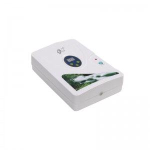 Meaisíní Teiripe Ózóin Chun Torthaí agus Glasraí