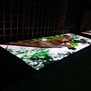 P8.928 Scáileán faoi stiúir damhsa allamuigh ar urlár urláir / balla físe faoi cheannas