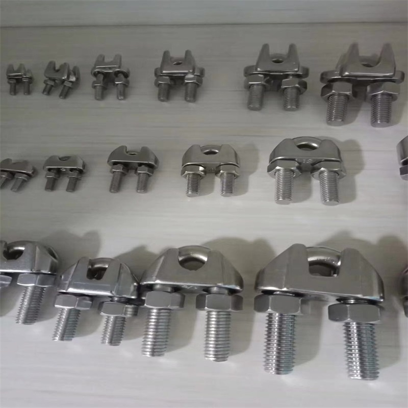 Praghas Monarcha Púdar Galvanized brataithe dúinn titim cineál Din 741 miotail Rope Clip