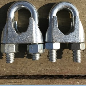 Praghas Monarcha Púdar Galvanized brataithe dúinn titim cineál Din 741 miotail Rope Clip