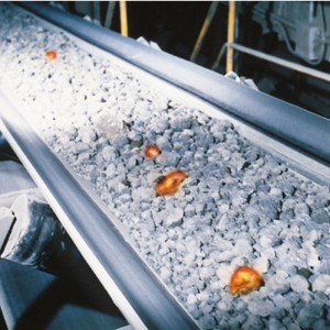 Crios Creasa Frithsheasmhachta Teasa