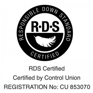 100% Pillow Duck Síneach Dúin