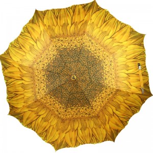 Ard-chaighdeán díolacháin siopa mórdhíola fógraíocht scáth scáth bláth amuigh faoin aer