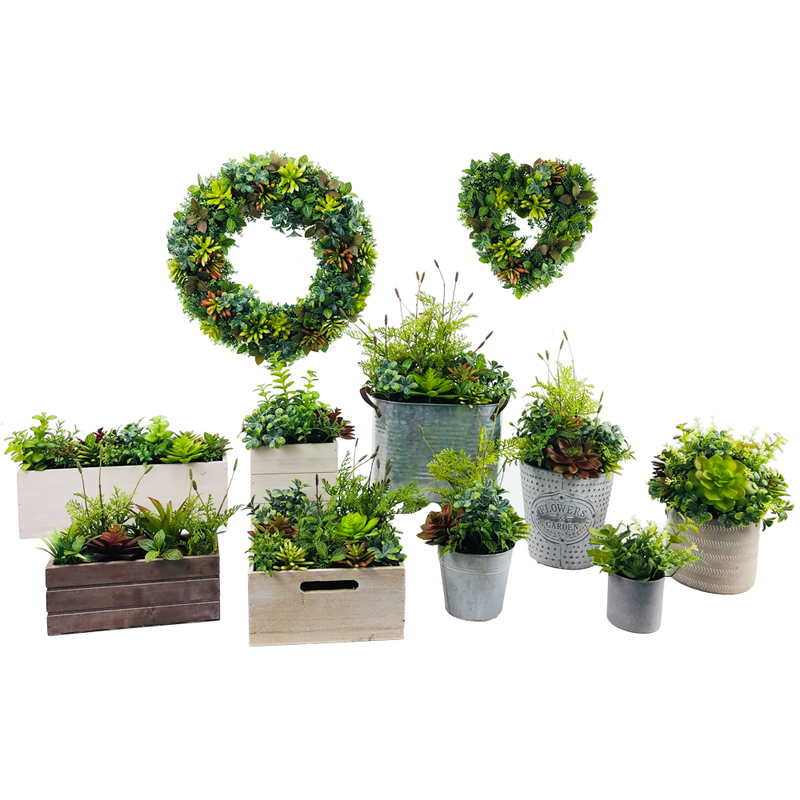 Plandaí Succulent Saorga Nua-Aimseartha Le Vása Taispeáin Globe Potaí Tabletop Pota