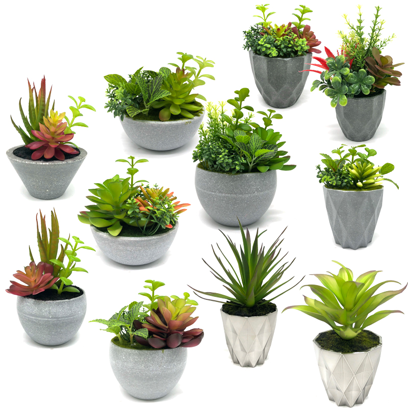 Plandaí Mini Succulent Saorga Le Maisiúchán Baile Maisiúchán Baile Gloine Tabletop