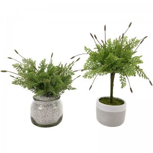 Síológa Lavender réadúil Saorga Gairdín maisiúcháin Baile Plandaí Crann Glas