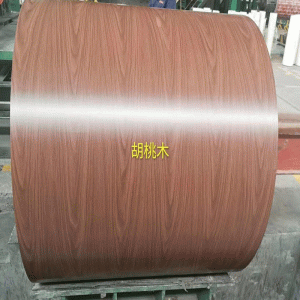 Pláta cruach péinteáilte