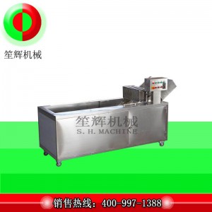 Meaisín Níochán Díghalraithe Ózóin Caighdeánach