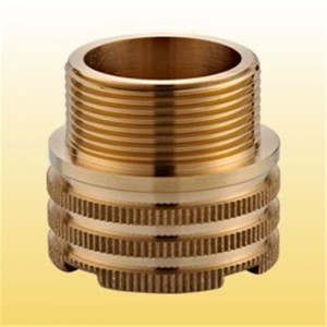 Feistiú Ionsáigh Mná