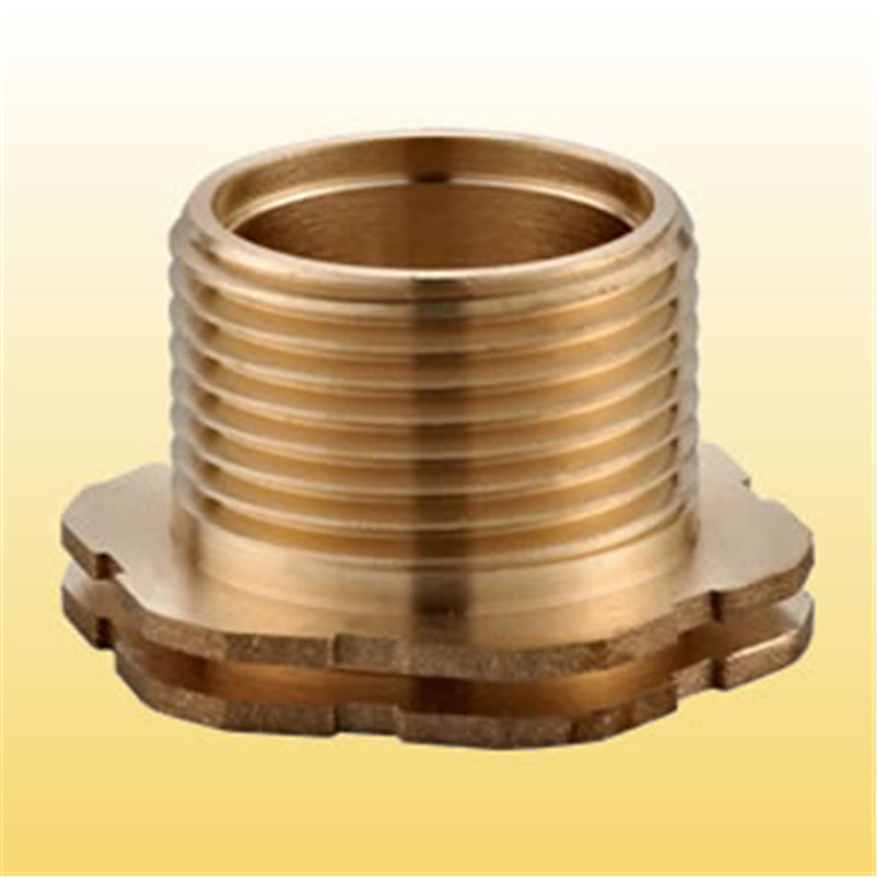 Cuir isteach le haghaidh PPR Connector