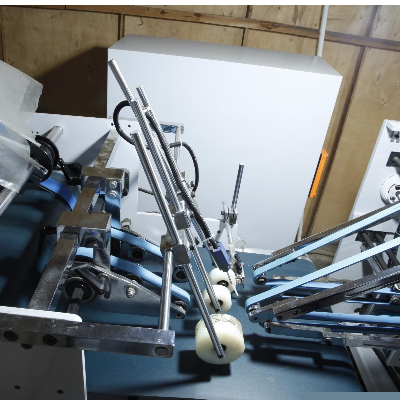 Paster bosca uathoibríoch