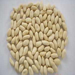 Meaisín feannadh peanut / meaisín feannadh fliuch peanut