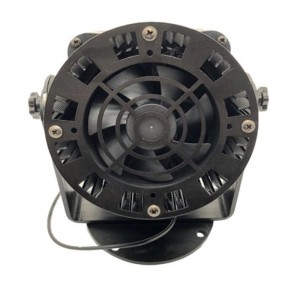 Solas Tírdhreacha Chustaim LOGO d’Úsáid Allamuigh