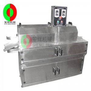 Meaisín Feannadh Aloe Cactus