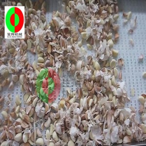 Meaisín scoilteadh gairleoige