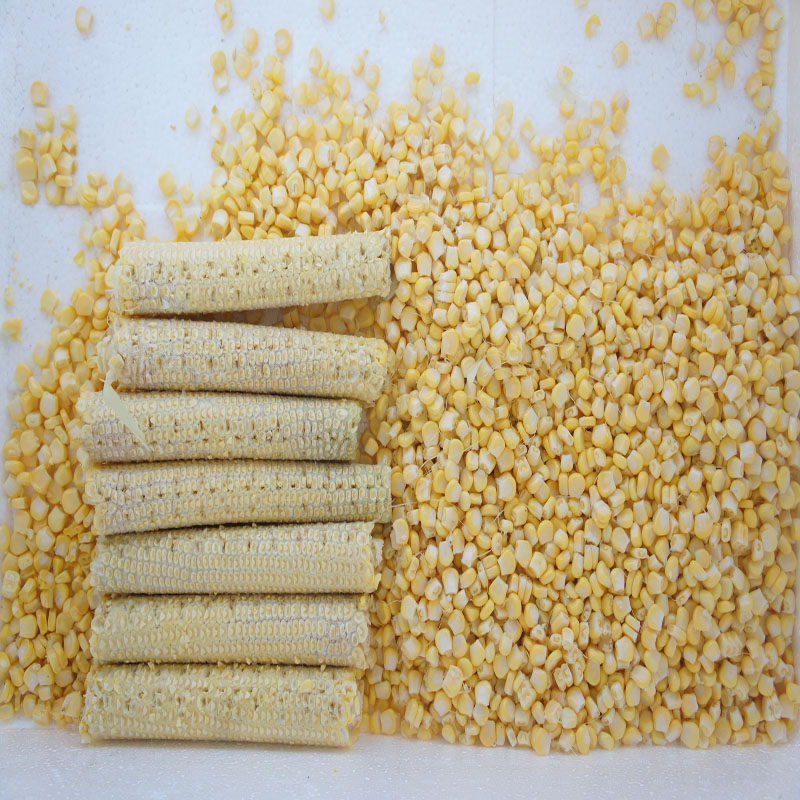 Líne Thresher Corn / Táirgeadh arbhar Snasta Arbhair