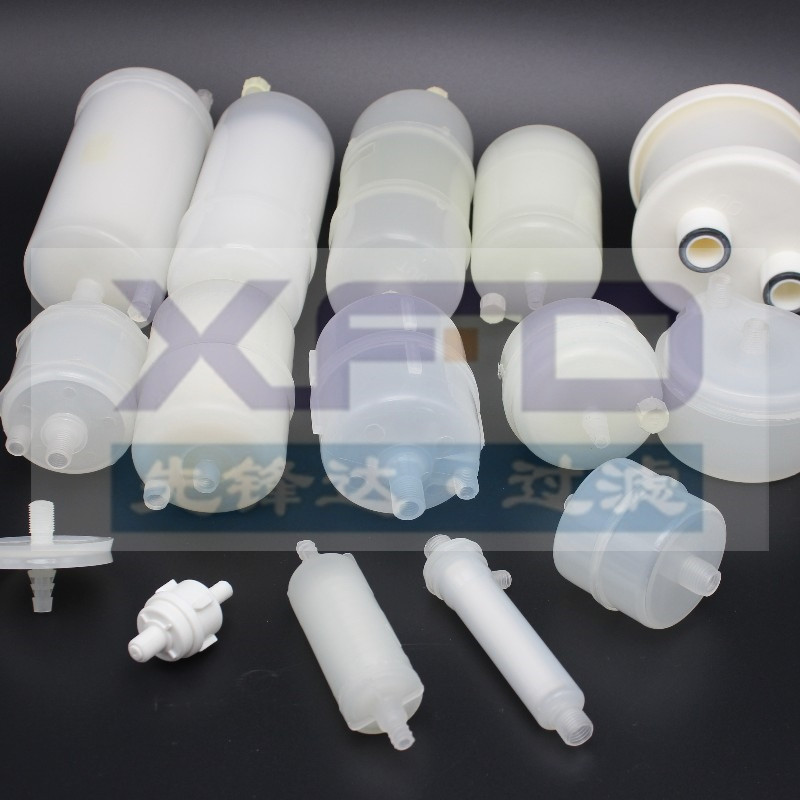 Capsule Scagaire