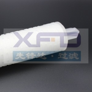 Cartús Scagaire Pleated --- RFG