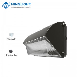 LED Wall Pack Solas WPB2 42W