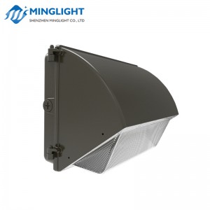 LED Wall Pack Solas WPB2 42W