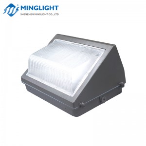 LED Wall Pack Solas WPB 60W