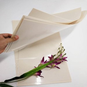 Dath aibreog ardcháilíochta 0.5mm dath bileog poileistir plaisteach plaisteach do throscán