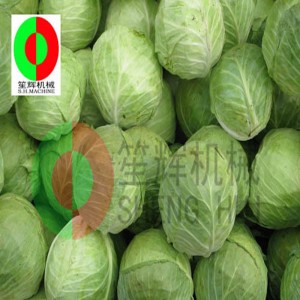 Croí-inneall cabáiste TX-1000