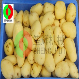 Meaisín torthaí a ghlanadh meaisín / glanadh torthaí melon feannadh meaisín / scuab torthaí melon glanadh feannadh meaisín QX-612 nua