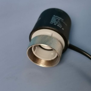 CDZ20.1 ... Gníomhaitheoir leictreach sraith