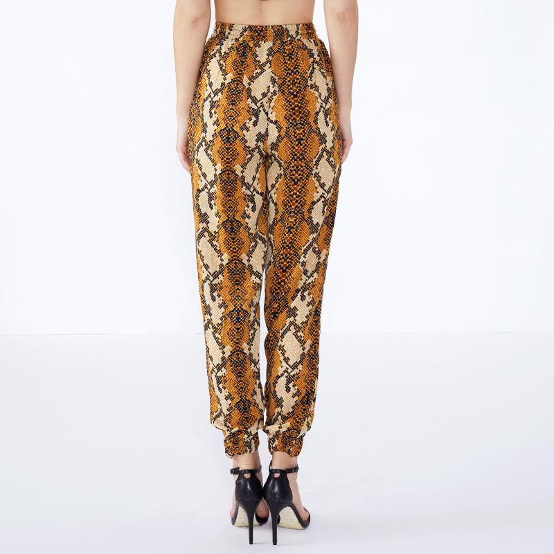 Patrún Nathair Snapentine Allamuigh Ard-Waist Palazzo Pants na mBan