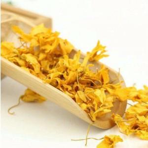 Bláthanna Caulis dendrobii