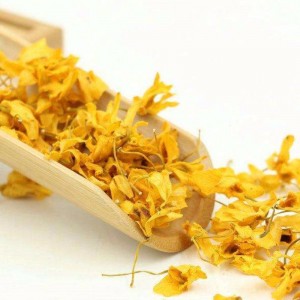 Bláthanna Caulis dendrobii