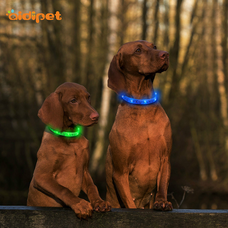 Cur Chun Cinn Colorful Usb Ath-inúsáidte Silicone Madraí faoi stiúir Collar Rialú Cianrialtán Pet Uisceproof agus Leashes