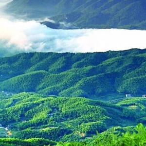 Tae tae 900g fuzhuan hunan tae tae anhubh