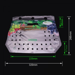Éicea-chara clóite mála pacáistithe torthaí fíonchaor plaisteacha le poill aerála